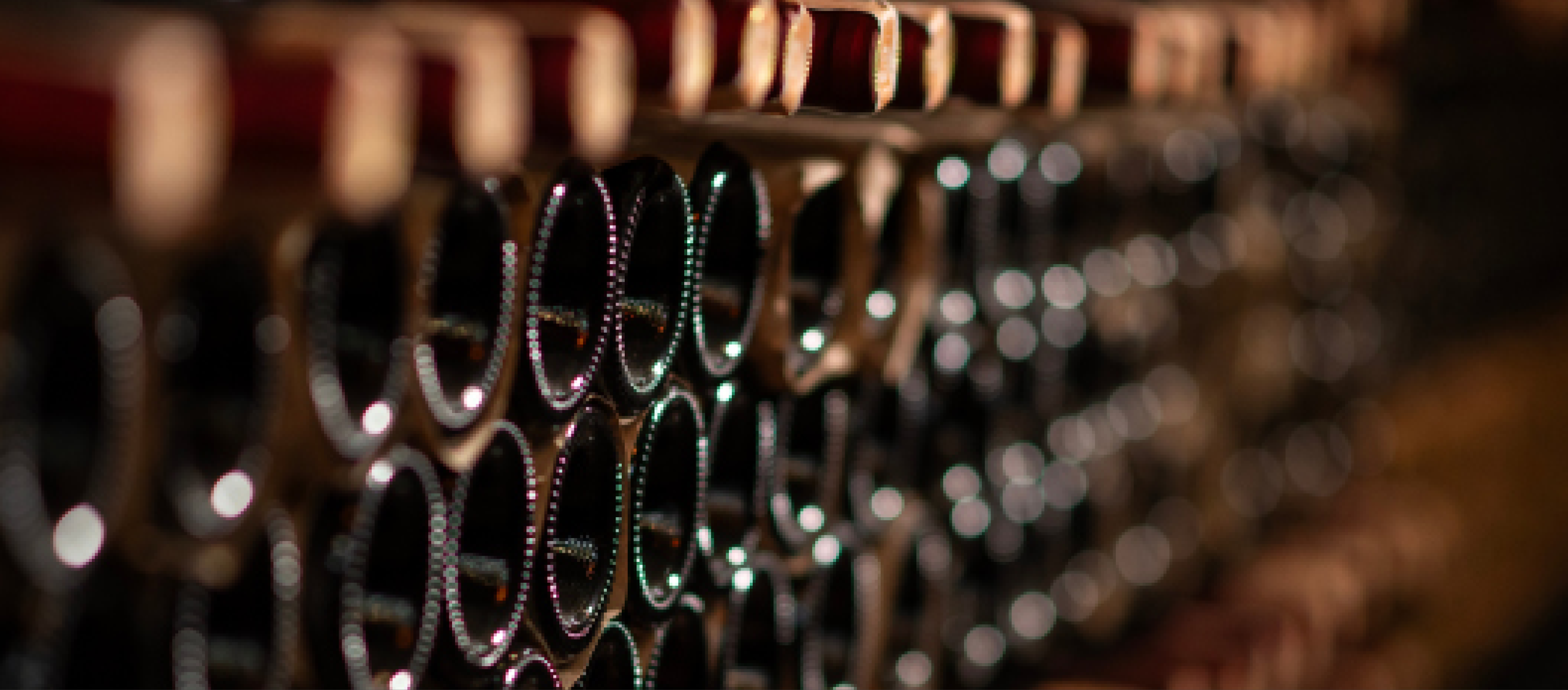 Bottle Shop Bottle Shop